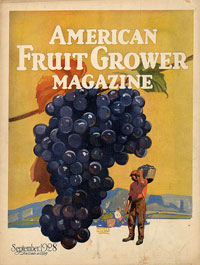Журнал «American Fruit Grower», сентябрь 1928