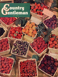 Журнал «Country Gentleman», июль 1949