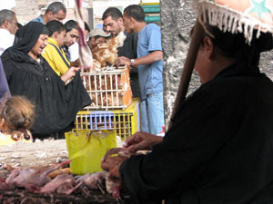 Блошиные рынки Египта (Каир)